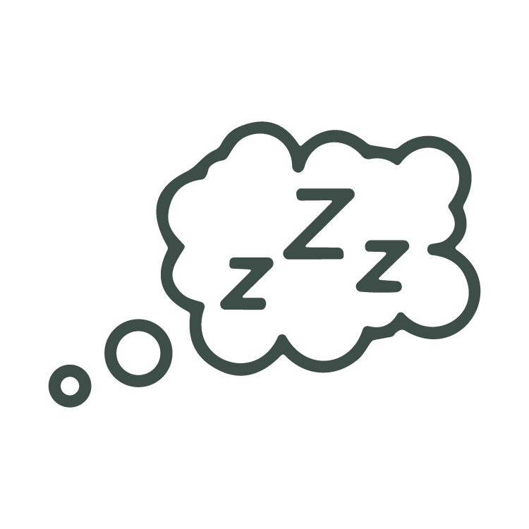 An icon of a thought bubble with three letter z's inside, intended to signify that you will get a great night's sleep with this mattress.