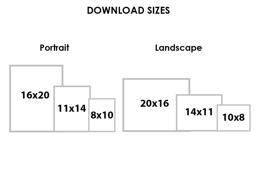 An infographic explaining digital artwork size dimensions for portrait and landscape options to download.