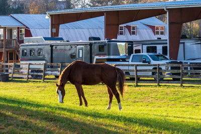 Horse Trailer Living Quarters Bedding Made Easy With Beddy’s