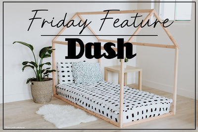 Friday Feature - Dash