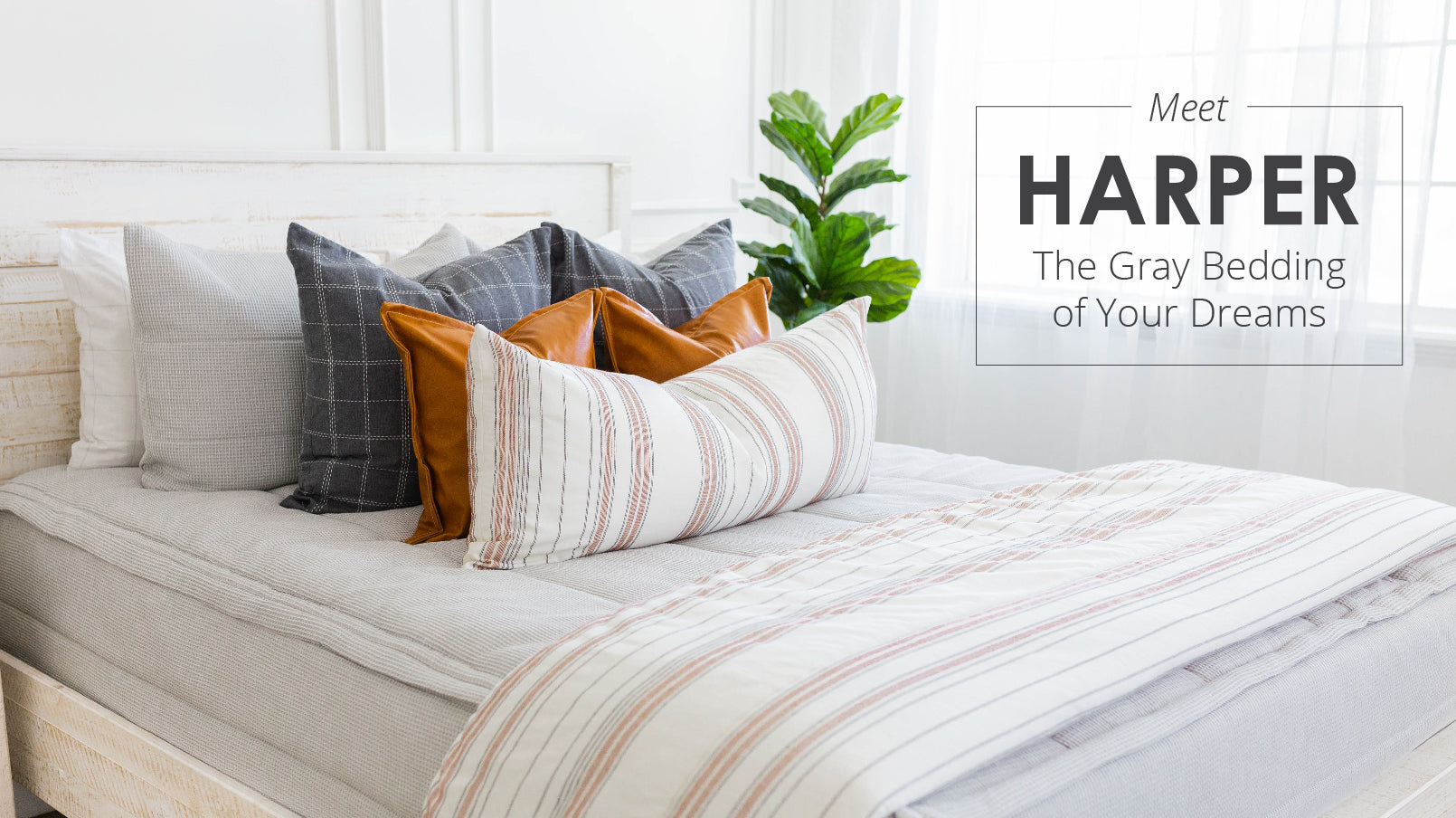 
      An infographic advertising the Harper style Beddy's
    