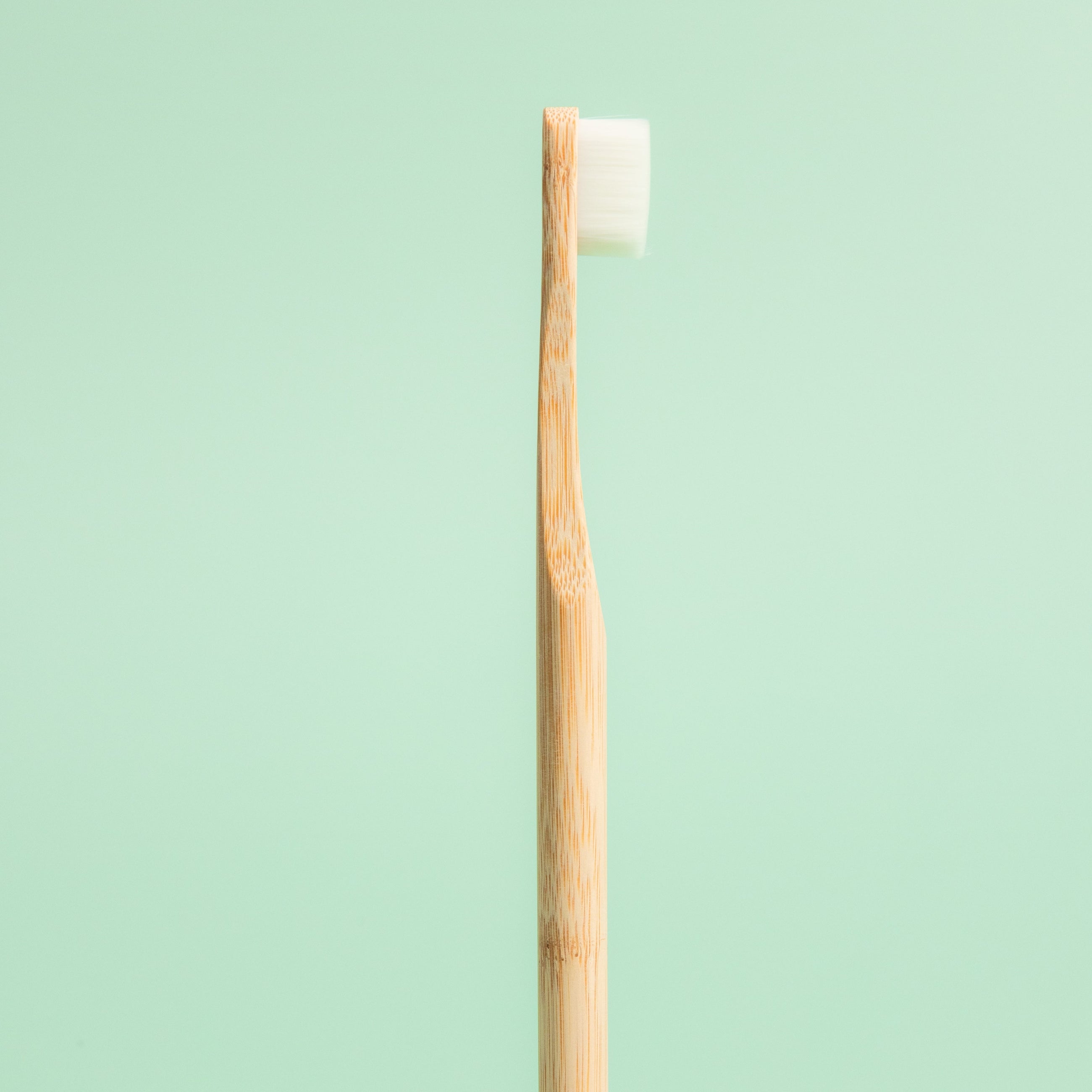 Nano Bamboo Toothbrush