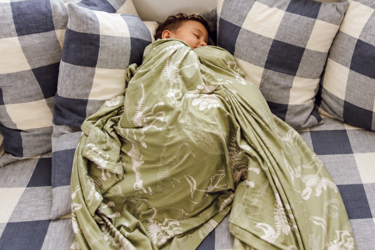 Little Roamer Blanket