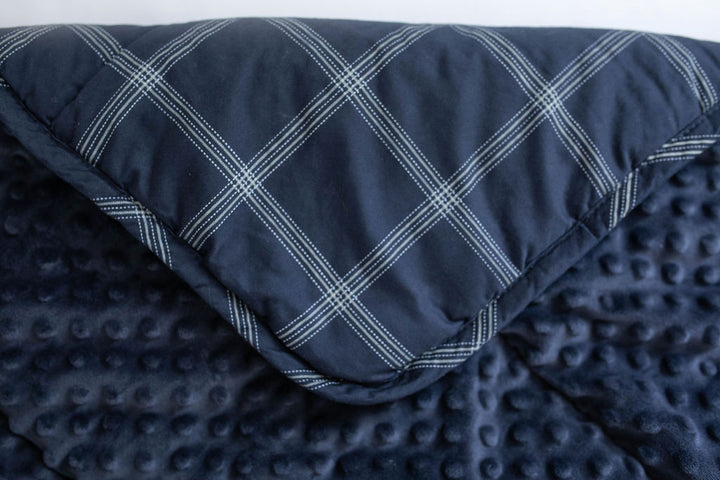 Blue plaid mini blanket with minky interior 