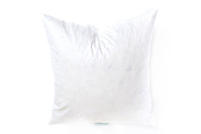 A white euro feather pillow insert. 