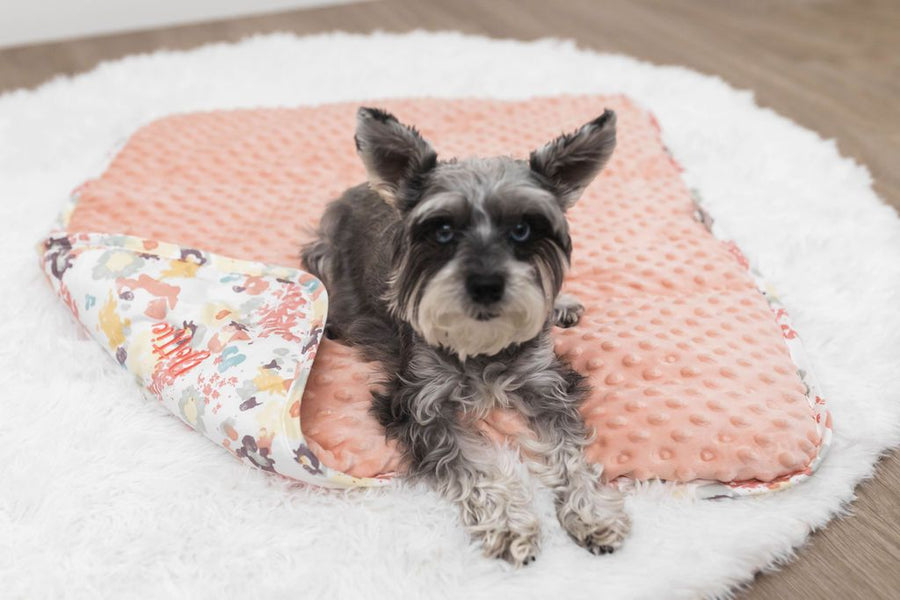 Dog laying on pink floral mini blanket on white rug