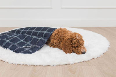 A brown golden doodle dog laying down sleeping underneath a navy blue plaid mini blanket on a white rug.