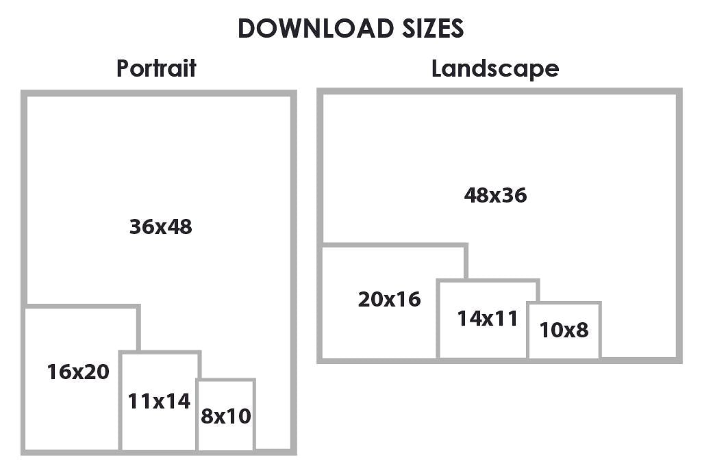An infographic explaining different download sizes for digital artwork.