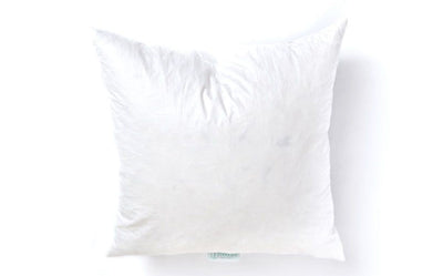 A white euro pillow insert