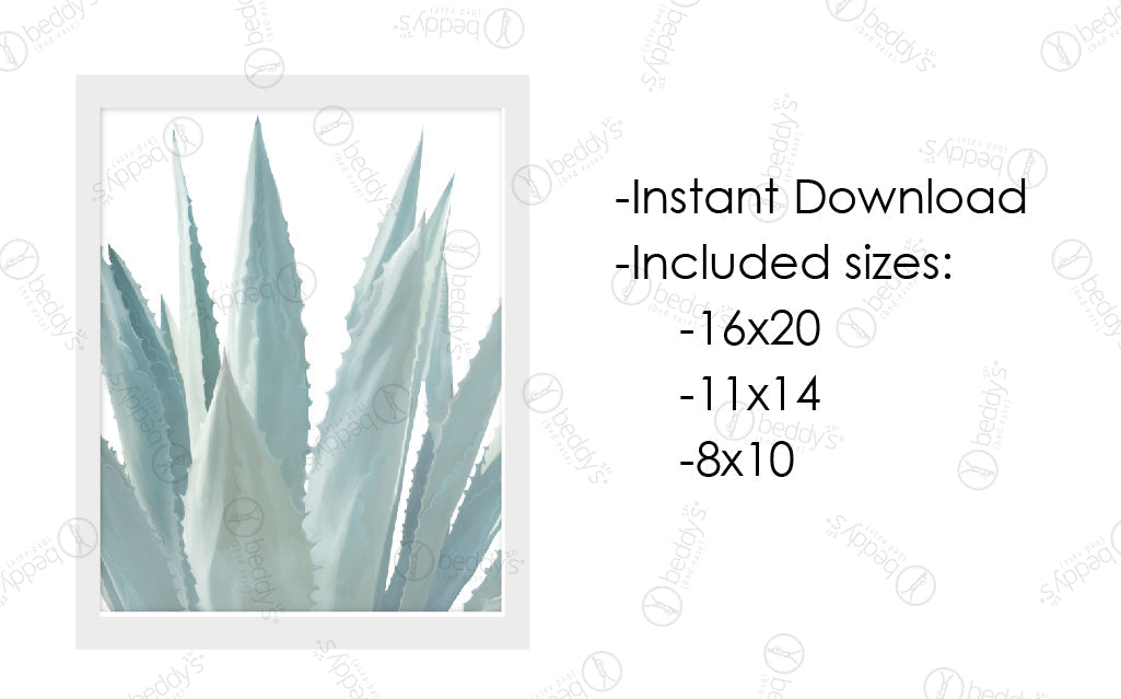 An infographic explaining the painted agave plant with a white background digital artwork size dimensions and that it's an instant download. 