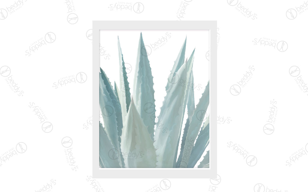A painted agave plant with a white background digital artwork showcased in a frame. 