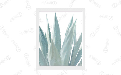 A painted agave plant with a white background digital artwork showcased in a frame. 