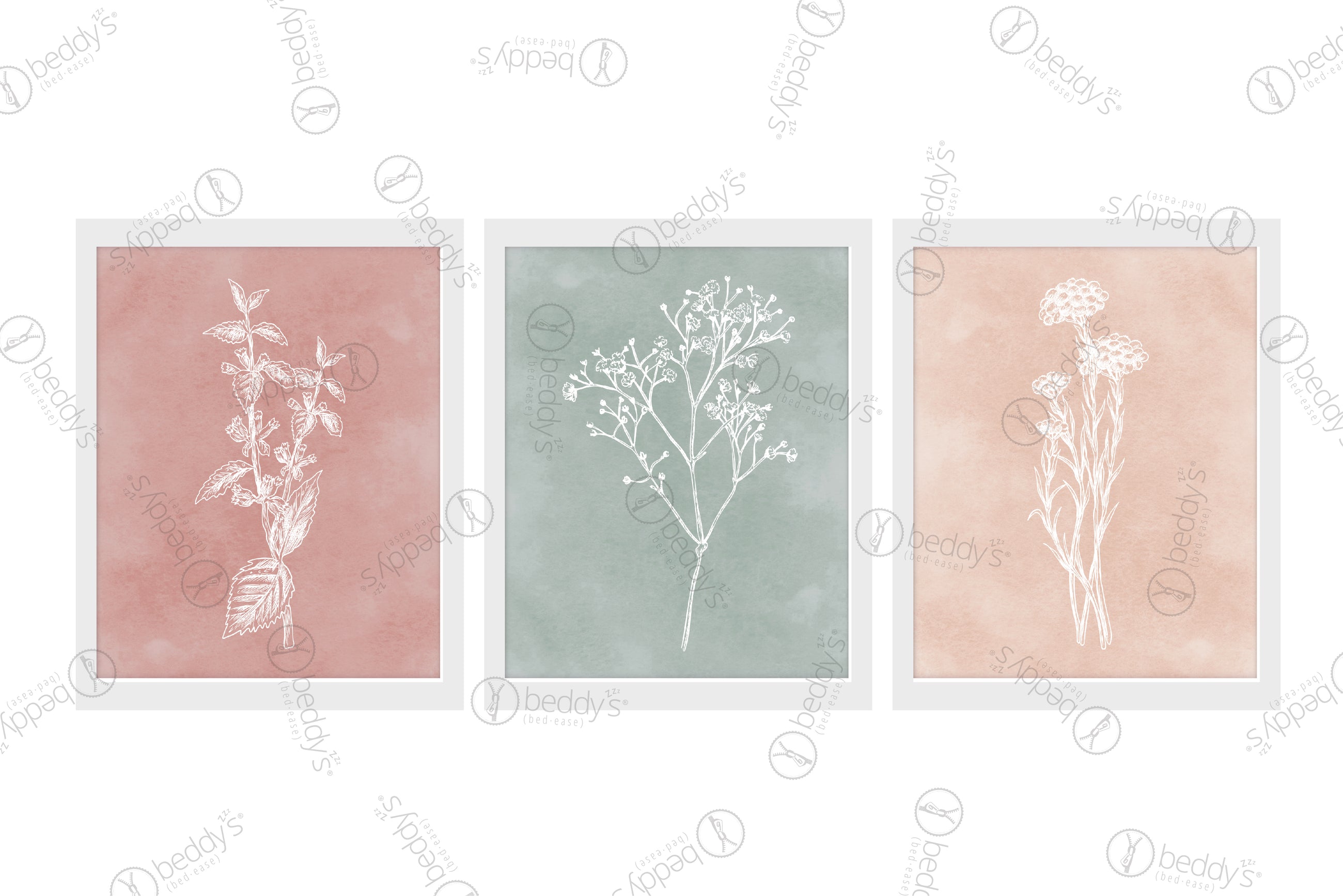 Red, green, and pink backgrounds with different white flowers digital artworks showcased in frames.