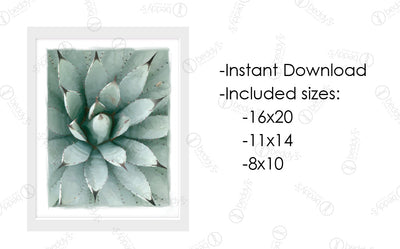 Painted Agave Artwork Download