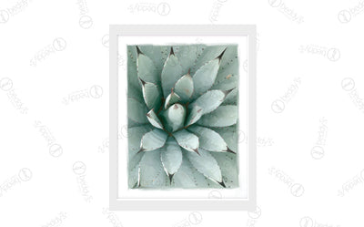 Painted Agave Artwork Download