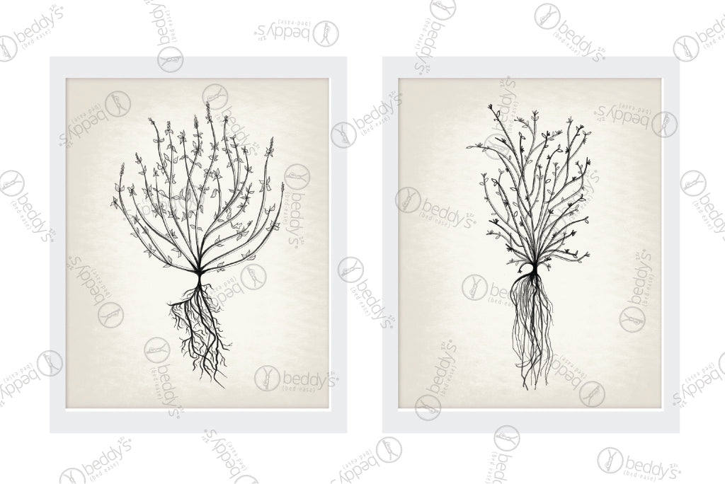 Two different sized black roots digital artworks showcased in frames.