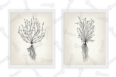 Two different sized black roots digital artworks showcased in frames.