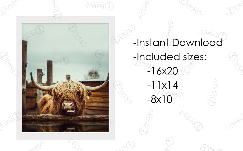 An infographic explaining the highland brown cow digital artwork size dimensions and that it's an instant download.
