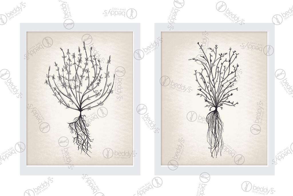 Two different sized black roots digital artworks showcased in frames.