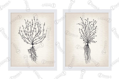 Two different sized black roots digital artworks showcased in frames.