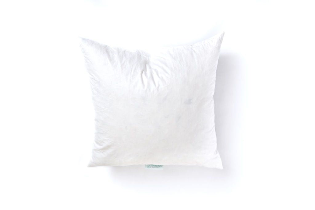 A white euro feather pillow insert.