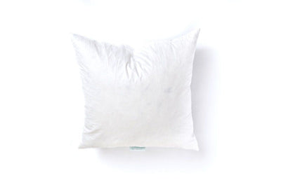 A white euro feather pillow insert.